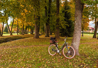 Fototapeta premium Amazing autumn landscape with bicycle near the tree at sunset. Foliage and bike in park at fall season.
