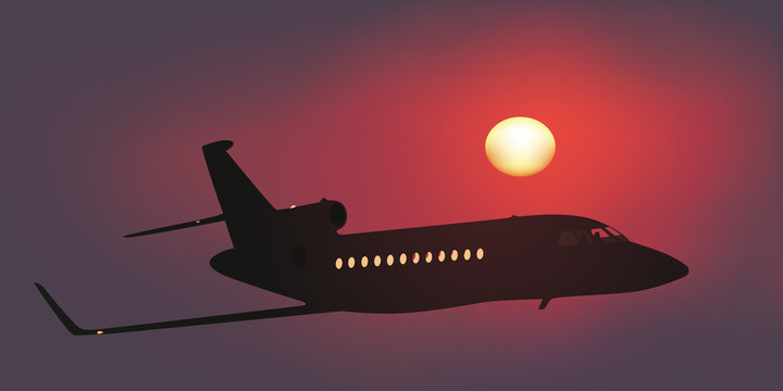 Avion - Jet - Homme d'affaires - vol privé
