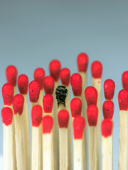 Burnout Syndrom