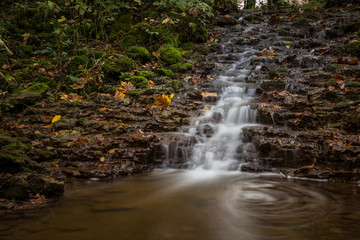 Forest cascade in autumn