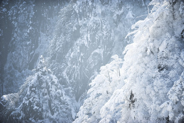 snow scene on huangshan mountain