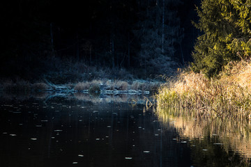 Chilly autumn morning on the river