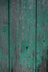 Naklejka premium Wooden background. Shabby board. Peeling green paint.