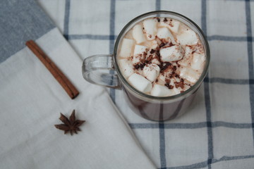 Christmas hot cocoa with marshmallows and milk. tree branches, cinnamon, and cookies on a napkin