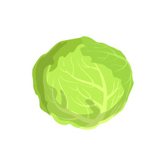 Cabbage Product Rich In Folic Acid