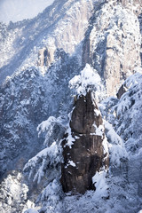 Fototapeta na wymiar snow scene on huangshan mountain