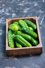 fresh cucumbers