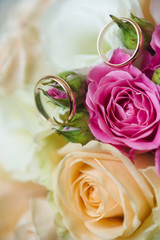 gold wedding rings in front of roses