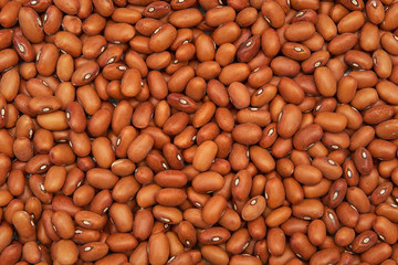 Brown Beans