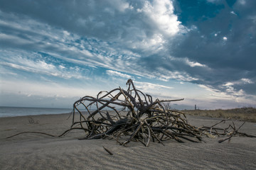 desolate beach, low dark sky