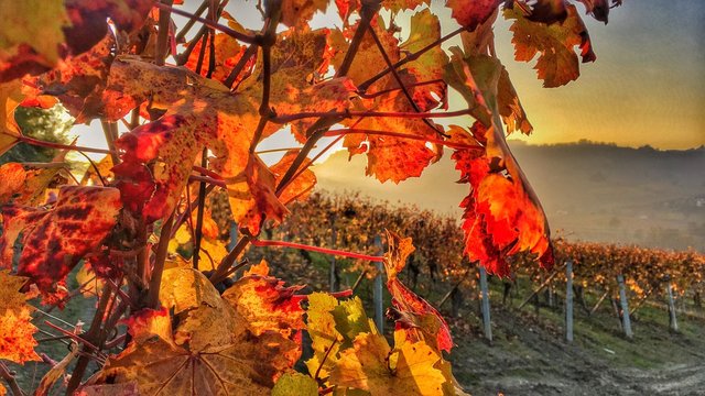 colori accesi di un bel tramonto autunnale