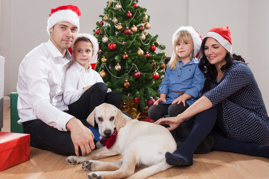 Christmas Family With Dog