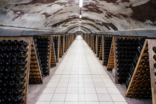 Wine cellar with regiments and supports for bottles with wine