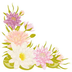 Water lily set. Collection decorative design elements for wedding invitations and birthday cards. Flowers, leaves and buds. Vintage hand drawn vector illustration in watercolor style.