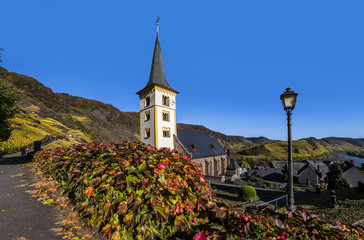 Kirche in Bremm mit Blick auf die Moselschelife,  leuchtenden Herbstfarben