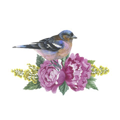 Wildflower rose flower and bird in a watercolor style isolated.