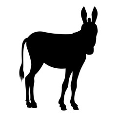 Donkey vector illustration  black silhouette