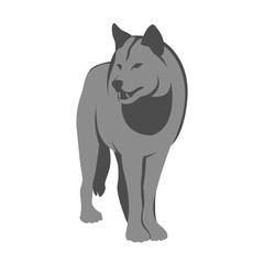 adult wolf vector illustration style flat