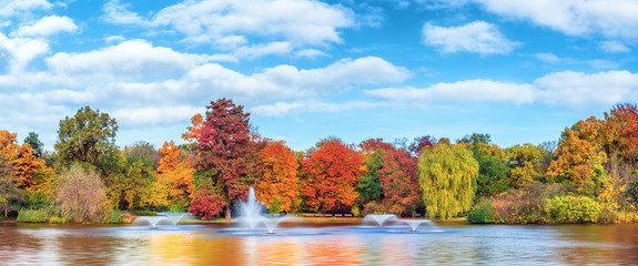 Beautiful fall landscape and cloudy sky. Autumn panorama - yellowed trees in city park in cloudy...