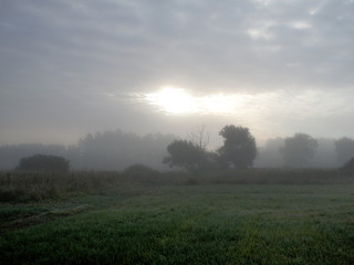 Obraz na płótnie Canvas Туман. Красивый луг, когда утренний туман спадает на землю. Всюду утренняя прохлада. На траве роса. Вот - вот взойдёт солнце.