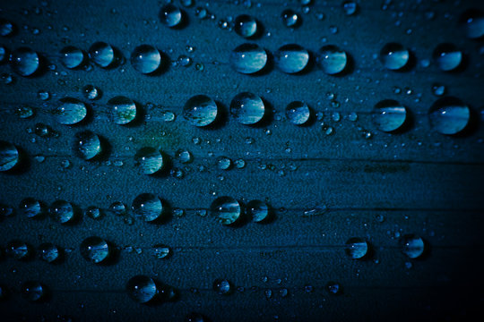 Water Drop On Fresh Blue Leaf With Blurred Background