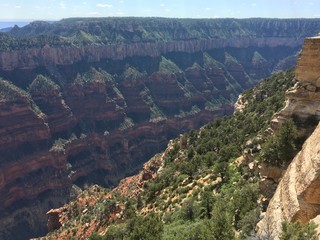 Grand Canyon, North Rim, USA
