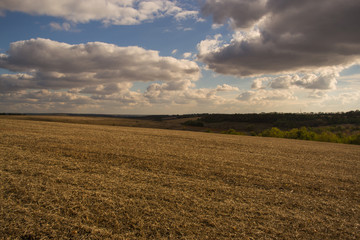 Autumn field