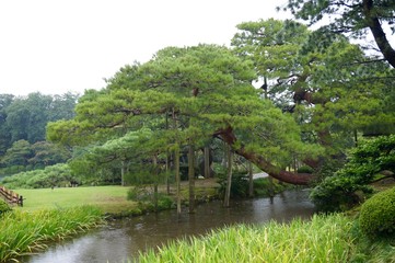 Obraz premium Japanese garden