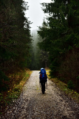 Fototapeta premium Young mother trekking, carrying her baby in a baby backpack