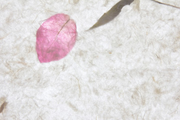 White mulberry paper with pink petal texture background