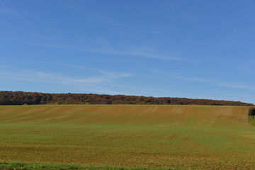 Fototapeta na wymiar paysage d'automne