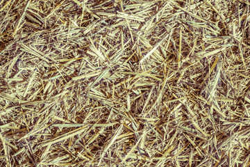HDR retro style, Ground covered with mowed wheat ears and straw
