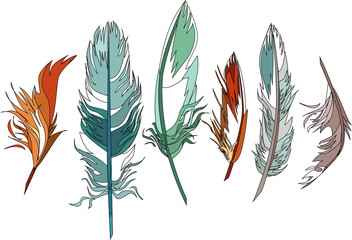 Cute colored graphic feathers set. hand drawn vector illustration. boho theme elements