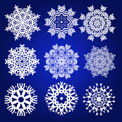 Decorative Snowflakes Vector Set