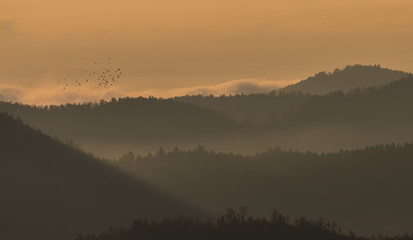 brumes d'automne