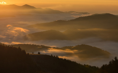 brumes d'automne
