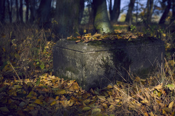 Obraz premium Abandoned cemetery 