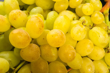 Large grapes cluster