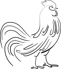 Beautiful hand drawn graphic rooster. New Year symbol. Vector line illustration in sketch style.