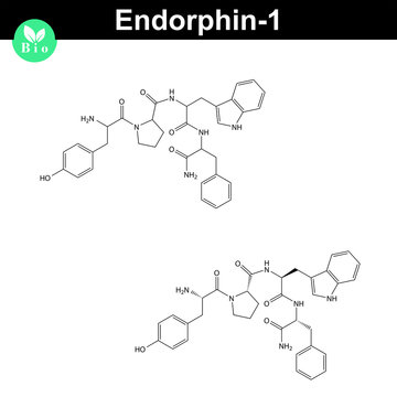 Human endomorphin-1 chemical structure