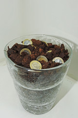 Abstract idea of growing money