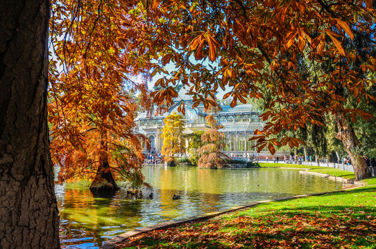 Palacio de Cristal en oto&ntilde;o. Parque del Retiro, Madrid