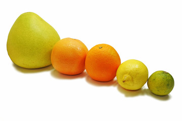 Citrus fresh fruits