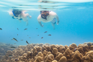 Two snorkelers discovering underwater life and corals, tropical sea