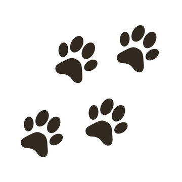 Animal paw icon vector