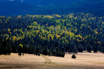 Valley