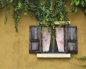 The tree at the window style Vintage