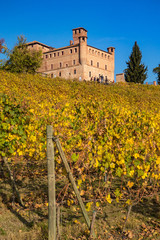 Castello medioevale circondato da vitigni in Piemonte in autunno