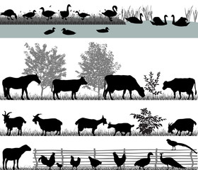 Collection of silhouettes of domestic animals - farm animals