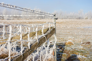 Fototapeta premium Chain link fencing